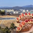 대구선동촌공원2 | 부모님 모시고 가기 좋은 금호강뷰카페 해맞이공원 대형카페 해월당 동촌유원지점