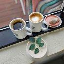 신인섬카써비스 이미지