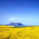 관광통역안내사_관광자원해설 이미지