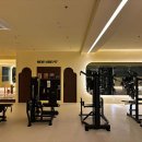 바이브 피트니스 이미지