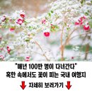 &#34;100% 자연 용출&#34; 1시간 거리 한국 최초 자연 온천-수안보파크호텔 이미지