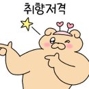 카페77 에비뉴 이미지