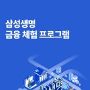 [삼성 금융 네트웍스 - CPA/CTA 우대] 삼성 금융네트웍스 기업경영컨설팅 직무설명 이미지