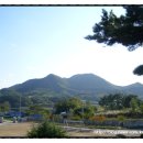 영남축산 이미지