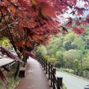 카페좌구산 다나우토바 이미지