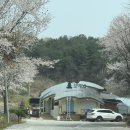 양평 용문 한식 비빔덮밥 전문 신상 맛집 _ 광이원보배밥