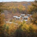 국립횡성숲체원 네이버블로그