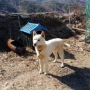 범이한식 이미지