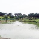 대덕연구단지체육공원 이미지