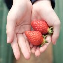 지윤농장 이미지