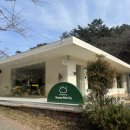 SunnySideUp(써니사이드업) 이미지