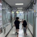 곤충하모니 | 성남:) 143만 유튜버 정브르 곤충샾 곤충하모니 후기