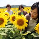 박상수농장 이미지