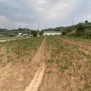 농업회사법인 (주)해드림 이미지