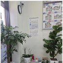 천사파트너 이미지