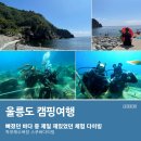 울릉다이버리조트 이미지