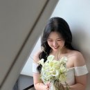 헤어린다 - 제주시 화삼북로 67 | [공지] 스튜디오 및 야외 웨딩촬영 헤어변형 종류와 순서 헤어변형 솔직 후기