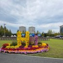 아트샤프 | 2025 대전 서구 아트페스티벌 첫날 후기