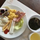 하동2 | [경남 하동] 하동야생차밭 후기 -2