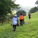 청태산목장 이미지