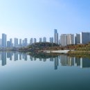 호수공원소나무숲길 이미지