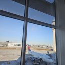 스카이팀 | 애틀랜타→인천 ✈️ 대한항공 비즈니스 탑승 후기 (마일리지 4만 승급 + 스카이팀 라운지 이용)