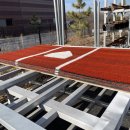 제이앤티(JNT) 이미지