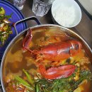 초보집밥요리 이미지