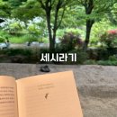 창원 마산 내서 북카페 세시라기 힐링하기 좋은 숲뷰 카페