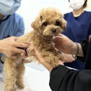 에드워드동물병원 이미지