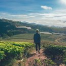 풍수지리 이미지