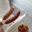 악쓰는하마코인노래연습장 이미지