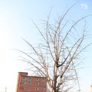 왕산5리 이미지