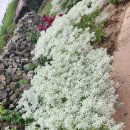 재성민박 이미지