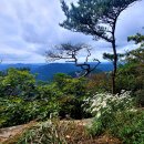 백두대간 18구간(이화령~희양산~은티마을)