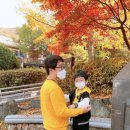 성경정육점
