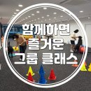 스탠독 이미지