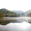 세량제 이미지