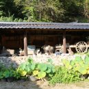자연누리식당 이미지