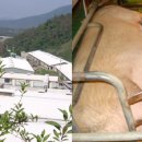 불갑축산 이미지