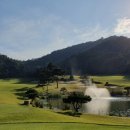 떼제베CC(대중제) 이미지