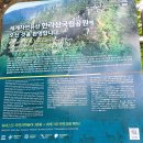 다정이네PC | [2박3일/제주여행] 초보자도 가능한 한라산 등반, 영실코스 등반 후기