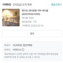 쿠팡, 오늘의집으로 꾸민 자취템 추천 리뷰