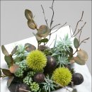 압화&보존화공예 이미지