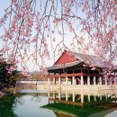 RUN 2 PC CAFE 이미지