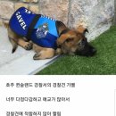 조은날 이미지