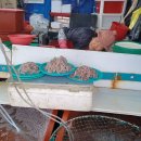 진보농장 이미지