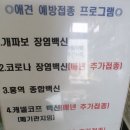 녹십자 동물병원 이미지