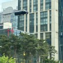 펫라운지 애견미용 애견호텔 이미지