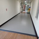 안심초등학교 이미지